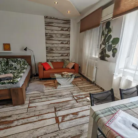 Daire Cozy In Downtown With Free Parking Keşkemet